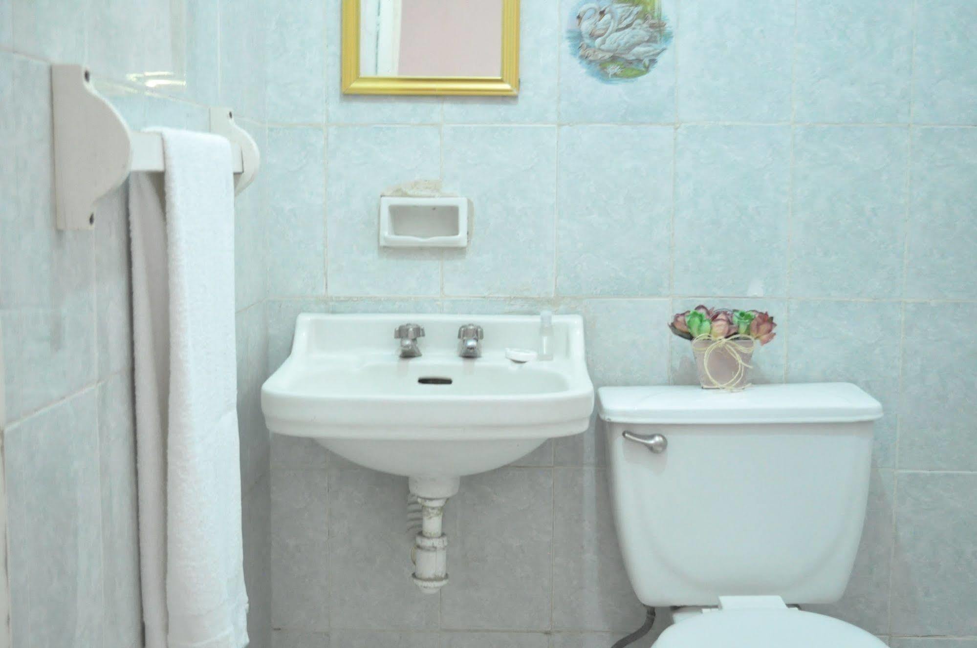 Hotel San Carlos Irapuato Εξωτερικό φωτογραφία